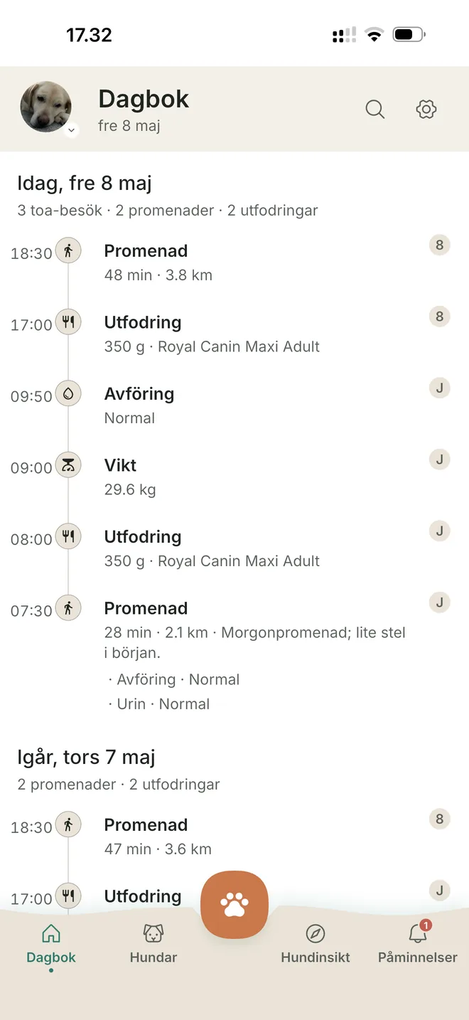 Hela familjen ser vad som redan är gjort.